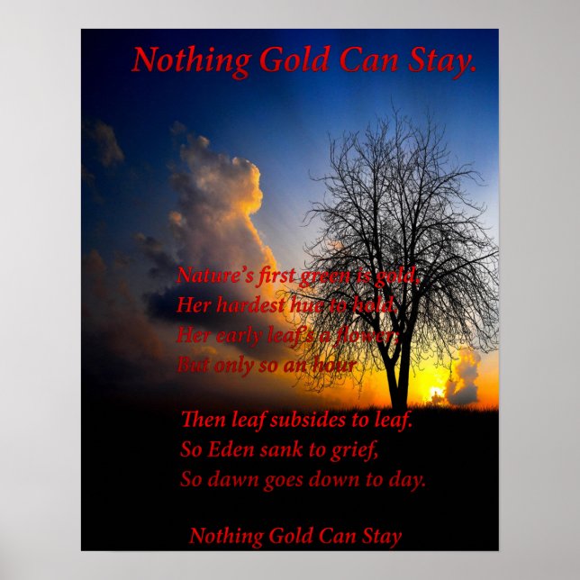 Affiches Arbre unique (Devant)