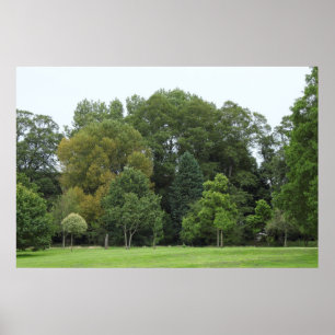 Affiches Arbres à Bute Park, Cardiff