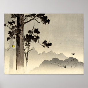 Affiches Arbres brumeux