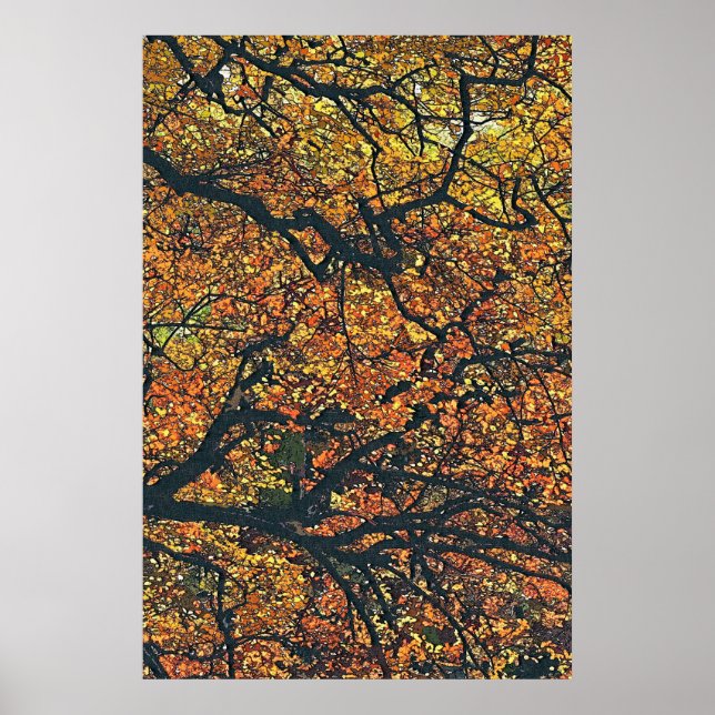 AFFICHES ARBRES D'AUTOMNE (Devant)