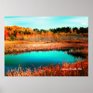 Affiches Arbres d'automne et marais Terre-Neuve-et-Labrador