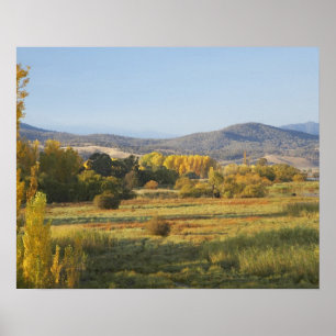 Affiches Arbres d'automne, Khancoban, Montagnes enneigées,