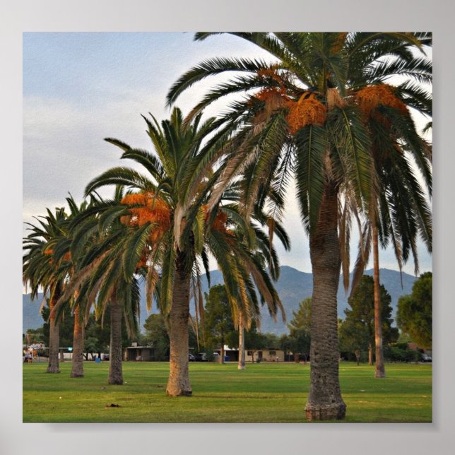 Affiches Arbres de datation délicieux (Devant)