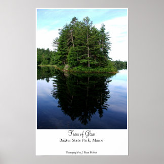 Affiches Arbres de verre