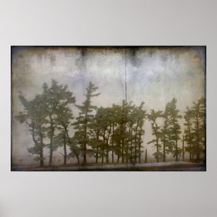 Affiches Arbres d'hiver