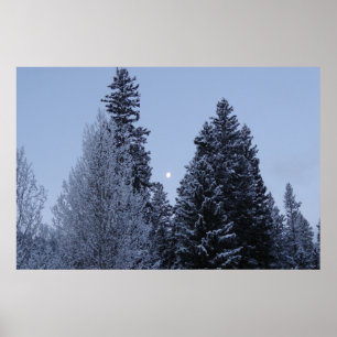Affiches Arbres d'hiver à Dawn Montana Paysage