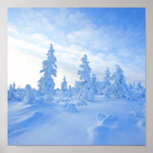 Affiches arbres neigeux en Laponie en Finlande