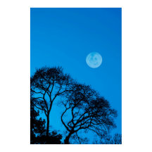 Arbres silhouettes et pleine lune