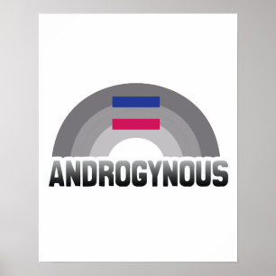 AFFICHES ARC-EN-CIEL ANDROGYNE