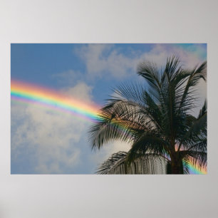 Affiches Arc en ciel avec palmier