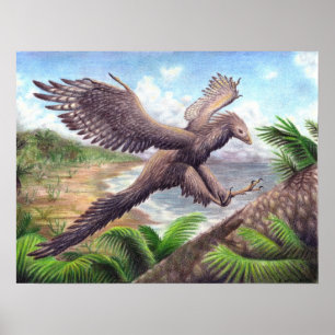 Affiches Archaeopteryx Imprimer