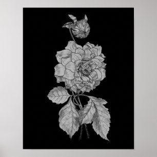 Affiches Argent Peony Sur L'Art Floral Noir