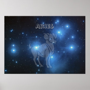 Affiches Aries transparentes
