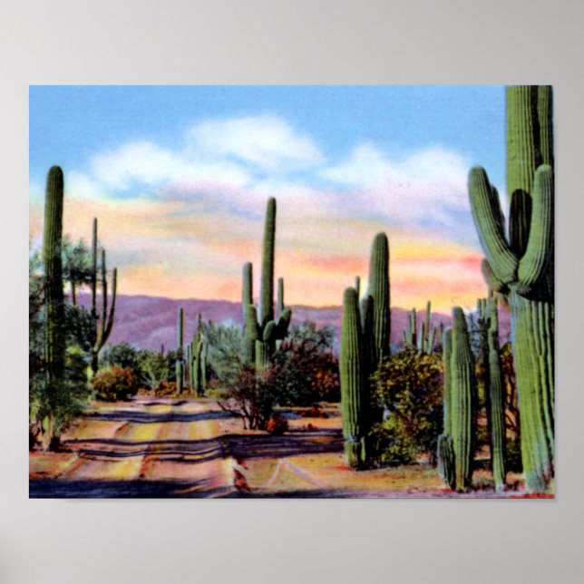 Affiches Arizona Sonoran Desert Scene (Devant)