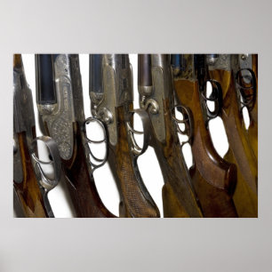 Affiches armes à feu de chasse