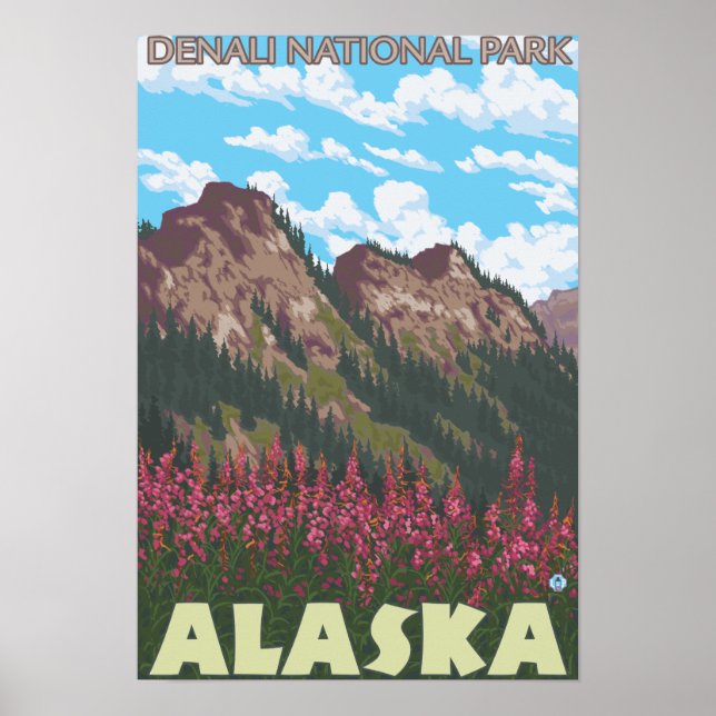 Affiches Armes à feu et montagnes - Parc Denali Nat'l, (Devant)
