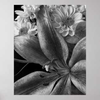 Affiches Arrangement avec Lillies