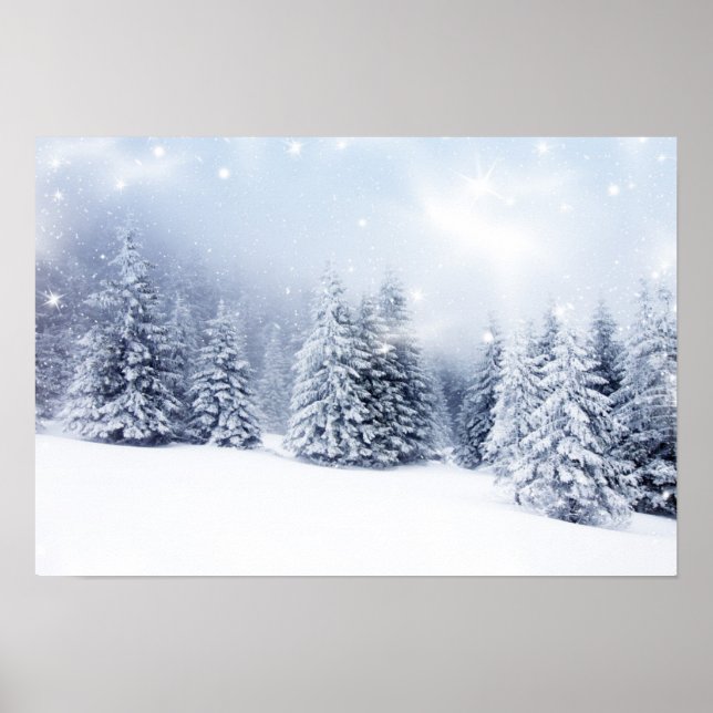 Affiches Arrière - plan de Noël avec sapin neige 2 (Devant)