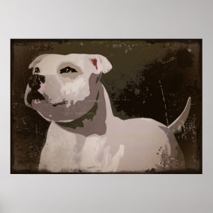 Affiches Arrière - plan urbain de bull-terrier blanc du