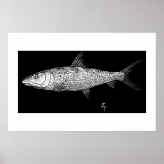 Affiches Art Bonefish Scratch