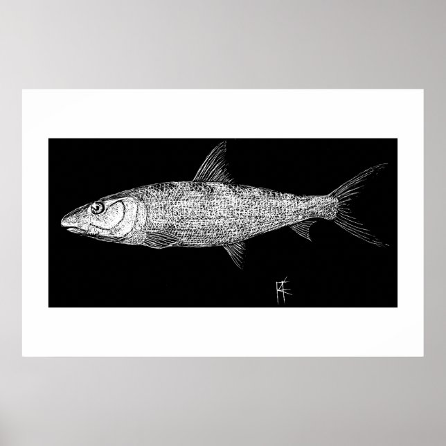 Affiches Art Bonefish Scratch (Devant)