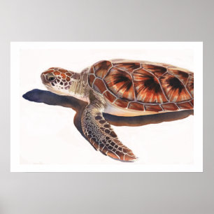 Affiches Art d'aquarelle de faune de tortue de mer