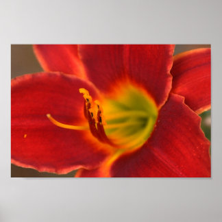 Affiches Art d'Augle,