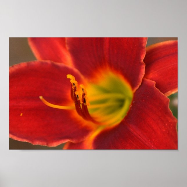 Affiches Art d'Augle, (Devant)