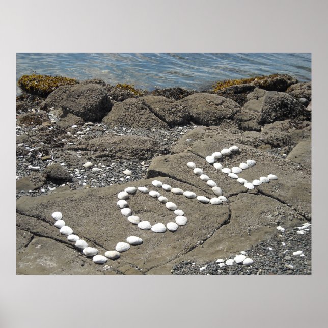 Affiches Art de coquillages sur la plage (Devant)