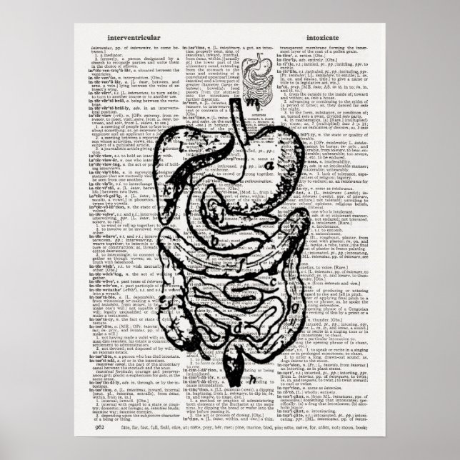 Affiches Art du dictionnaire d'illustrations Médicale (Devant)
