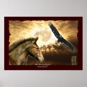 Affiches Art espagnol Mustang Horse & Bald Eagle Imprimer