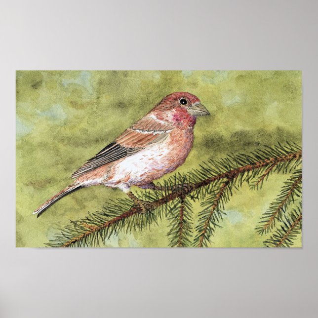 Affiches Art Finch violet (Devant)