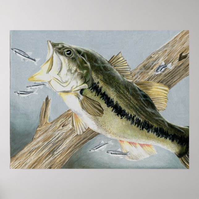 Affiches Art gagnant par A. Backus 12e année (Devant)