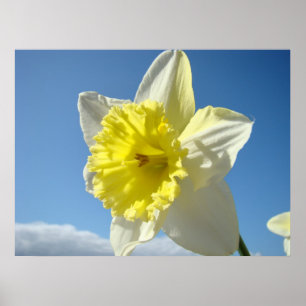 Affiches ART IMPRIMANTES Daffodil Jaune Fleurs Toile