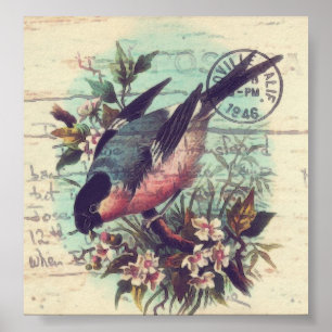 Affiches Art numérique d'oiseaux