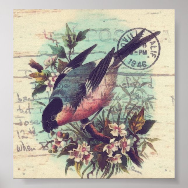 Affiches Art numérique d'oiseaux (Devant)