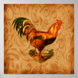 Affiches Art pour la cuisine Coq rustique orné