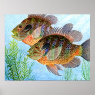 Affiches Art primé par E. Jiang - 6e année