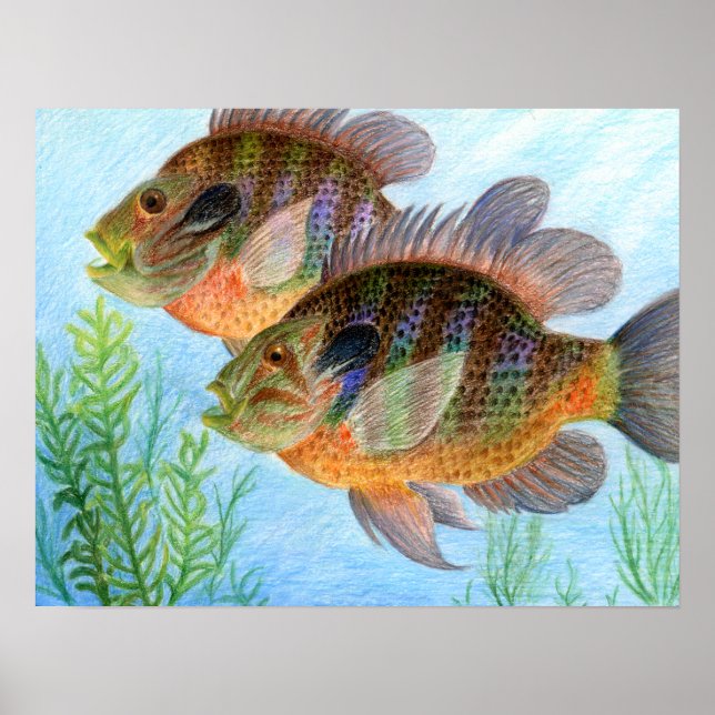 Affiches Art primé par E. Jiang - 6e année (Devant)