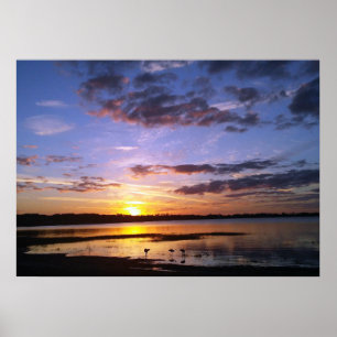 Affiches Art tropical de photo d'affiche de paysage de