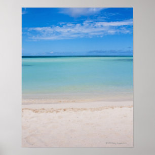 Affiches Aruba, plage et mer 3