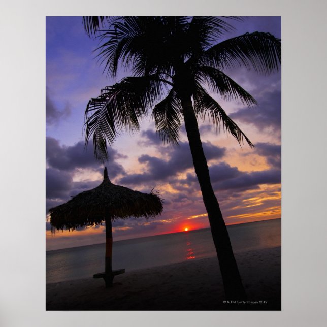 Affiches Aruba, silhouette de palmier et palapa (Devant)