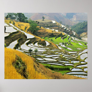 Affiches Asie, Chine, Yunnan, préfecture de Yuxi; Yuanjiang