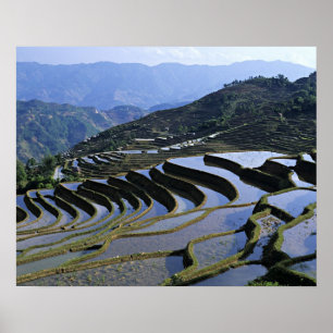 Affiches Asie, Chine, Yunnan, Yuanyang. Accidenté