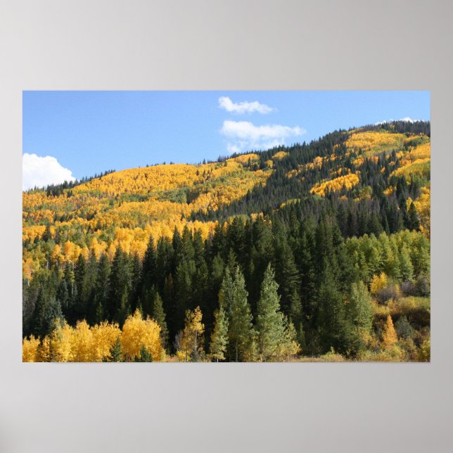 Affiches Aspens en Colorado (Devant)