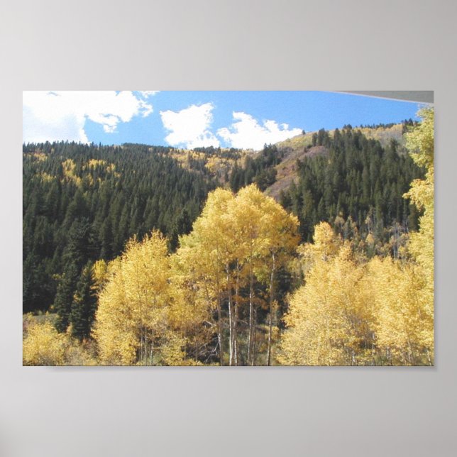 Affiches Aspens In Fall, On Shultz Pass Road Near Flagstaff (Devant)