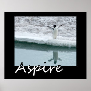 Affiches Aspire