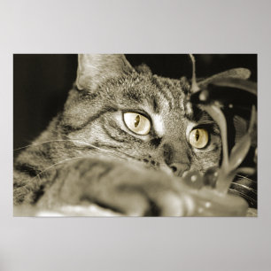 Affiches Attaque