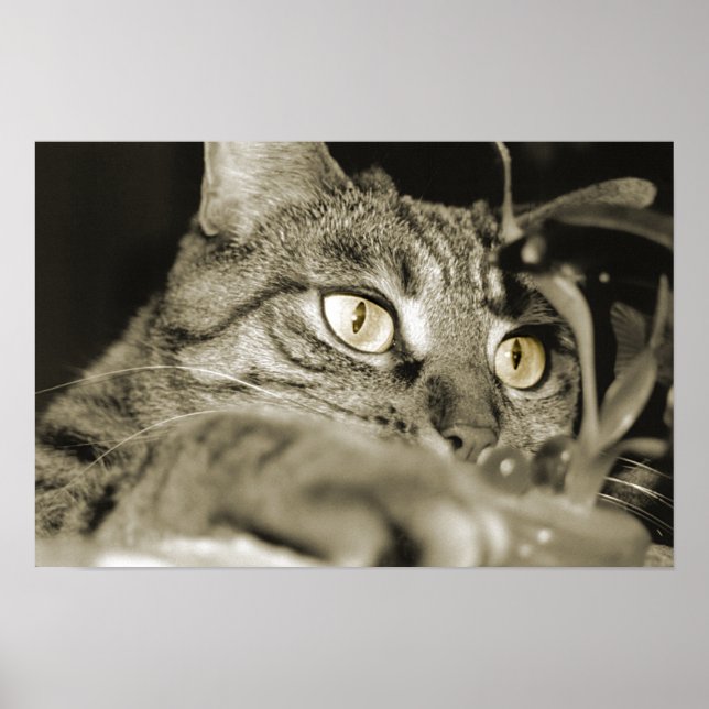 Affiches Attaque (Devant)