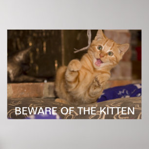 Affiches Attention au Kitten